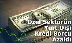 Özel sektörün yurt dışı kredi borcu Kasım ayında 175,7 milyar dolar oldu