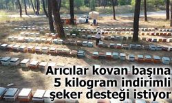 Arıcılar kovan başına 5 kilogram indirimli şeker desteği istiyor