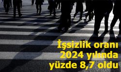 Türkiye’de İşsizlik Oranı Düştü: 2024 Yılında İstihdam Artış Gösterdi