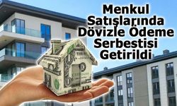 Menkul Satışlarında Dövizle Ödeme Serbestisi Getirildi