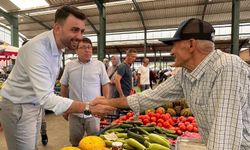Gönen Baldo Pirinci ve Erdek Kapıdağ Zeytinyağına Coğrafi İşaret Tescili!