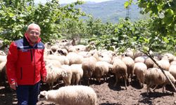 Başkan Güler: "Dağıtımını yaptığımız hayvanları kendimiz yetiştiriyoruz"