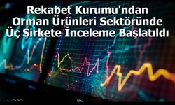 Rekabet Kurumu'ndan Orman Ürünleri Sektörüne Soruşturma: Üç Şirkete İnceleme Başlatıldı