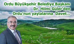 Bin Yıllık Mirasıyla Karadeniz’in Gözdesi: Aybastı Perşembe Yaylası Ziyaretçilerini Bekliyor