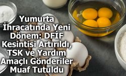 Yumurta İhracatında Yeni Dönem: DFİF Kesintisi Artırıldı, TSK ve Yardım Amaçlı Gönderiler Muaf Tutuldu
