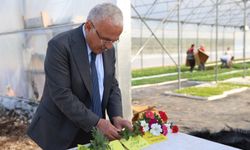Ordu'da peyzaj çalışmalarında çiçekler dışarıdan alınmıyor, kendileri yetiştiriyor