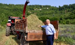 Ordu’da “5’li Karışım Kaba Yem” Projesi Üreticinin Yüzünü Güldürdü