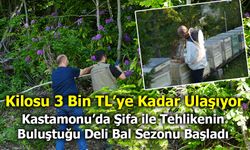 Şifa ile Tehlikenin Buluştuğu Deli Bal Sezonu Başladı