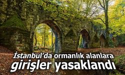 İstanbul’da orman yangınlarına karşı önlem: Girişler yasaklandı