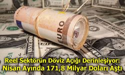 Reel Sektörün Döviz Açığı Derinleşiyor: Nisan Ayında 171,8 Milyar Doları Aştı