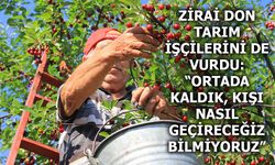 Zirai don tarım işçilerini de vurdu: “Ortada kaldık, kışı nasıl geçireceğiz bilmiyoruz”