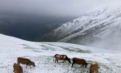 Temmuz Ortasında Kar Sürprizi: Kaçkarlar Beyaza Büründü, Turistler Hayrete Düştü
