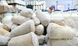 Erzincan Tulum Peyniri Avrupa’dan Tescilli, Anadolu’dan Lezzetli
