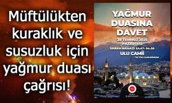 Bursa’da Orman Yangınları Sürüyor, Müftülük Yağmur Duasına Davet Etti