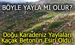 Doğu Karadeniz Yaylaları Kaçak Betonun Esiri: 100 Bin Yapı Doğayı Yutuyor!