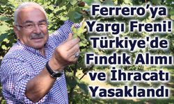 Ferrero’ya Yargı Freni: Türkiye'de Fındık Alımı ve İhracatı Yasaklandı