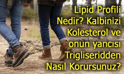 Lipid Profili Nedir? Kalbinizi Kolesterol ve onun yancısı Trigliseridden Nasıl Korursunuz?