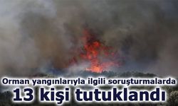Bakan Tunç: Yeşil vatana kastedenler adalet önünde hesap verecek