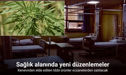 Kenevirden elde edilen tıbbi ürünler eczanelerden satılacak