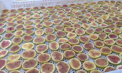 İncir cipsi sofraların yeni gözdesi oldu