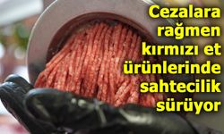 Kırmızı Et Ürünlerinde Tağşiş Sürüyor: Lahmacundan Adana Kebaba Kanatlı Eti ve Sakatat Çıktı