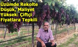 Manisa’da Üzüm Krizi: Ziraat Odası’ndan TARİŞ’e Sert Tepki