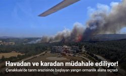 Çanakkale’de tarım arazisinde başlayan yangın ormanlık alana sıçradı