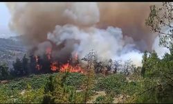 Devletin tüm kurumları Bursa yangını için seferber oldu