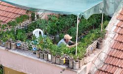 18 Metrekarelik Terastan 200 Bidonluk Bereket