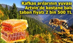 Kafkas arılarının yuvası Artvin’de kestane balına 2 bin 500 TL taban fiyat