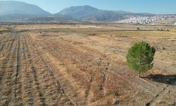 BYD'nin Manisa'daki fabrika sahasında sessizlik sürüyor!