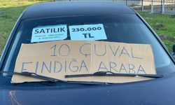 10 çuval fındık getirene araba