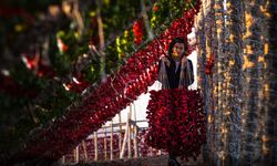 Gaziantep’in Güneşiyle Kuruyan Lezzet: Sebze Kurutmalıkları Dünya Sofralarında