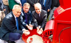 Coğrafi İşaretli “Akkuş Şeker Fasulyesi”nde Hasat Başladı