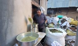 Doğanın Şifalı Hediyesi: Zetrin Baharatı Erzincan’da Yeniden Keşfediliyor