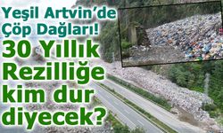 Artvin’in Doğal Güzelliklerini Çöp Dağlarıyla Gölgelendi!