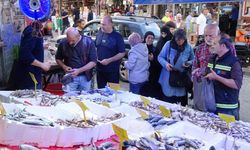 Samsun’da hamsi bereketi: Fiyat düşünce tezgâhlarda hareketlilik arttı
