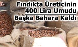 Fındıkta Üreticinin 400 Lira Umudu Başka Bahara Kaldı