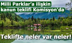 Milli Parklar’a ilişkin kanun teklifi Komisyon'da!
