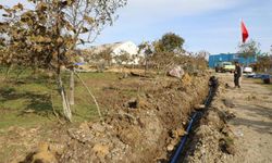 Ordu Büyükşehir Belediyesi’nden Fındıkta Verimlilik Hamlesi