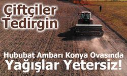 Hububat Ambarı Konya Ovasında Yağışlar Yetersiz, Çiftçiler Tedirgin