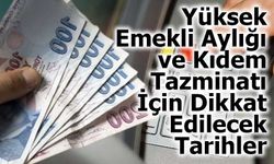 Yüksek Emekli Maaşı İçin Tarihe Dikkat: Emeklilik Dileçesi Ne Zaman Verilmeli?