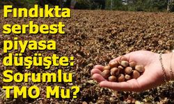 TMO’nun fındık alım fiyatı tartışma yarattı: Üretici zarar ediyor