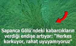 Sapanca Gölü’nde Kabarcıklar Endişe Yaratıyor: “Herkes Korkuyor, Rahat Uyuyamıyoruz”