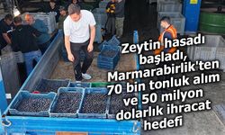 Hasat Başladı: Marmarabirlik’ten 70 Bin Ton Alım ve 50 Milyon Dolarlık İhracat Hedefi