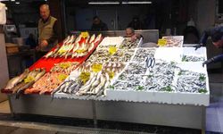 Karadeniz’de Hamsi Bereketi!