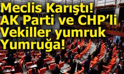 TBMM’de Bütçe Görüşmelerinde Yumruklu Kavga: Meclis Karıştı