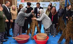 Susam Üreticisine Büyük Destek: Alım Fiyatı 155 TL’ye Çıktı