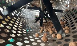 Ceviz Üretimiyle Çehresi Değişen Köy Yatırımcıların Gözdesi Oldu