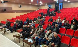 Zeytin Üreticileri İçin Destek ve Markalaşma Çağrısı: Paketli Ürün Geliri Artırır